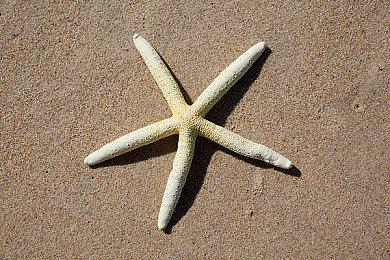 消息称《异度神剑X》重制版或将抛弃Switch